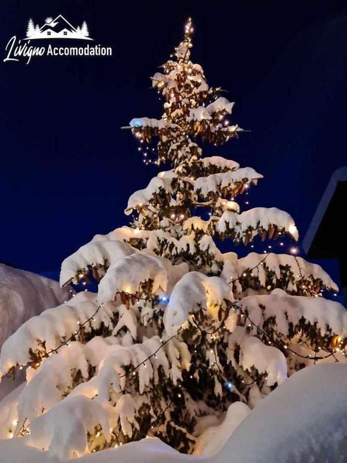 Alpen Royal By Livigno Accomodation Zewnętrze zdjęcie
